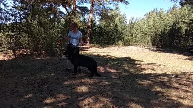 Галина и Порох. второе занятие смотреть онлайн