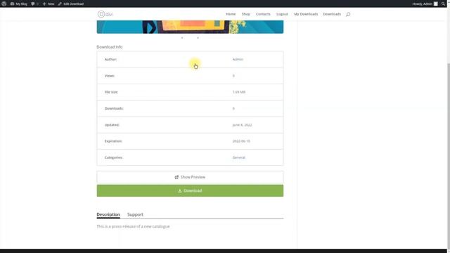 Creating Temporary Downloads | WordPress смотреть онлайн