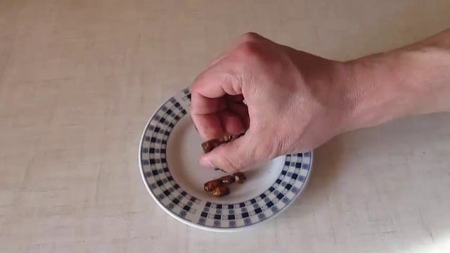 Чуфа (земляний мигдаль) - як посадити смотреть онлайн