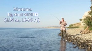 Mottomo Jig Soul и жерех
