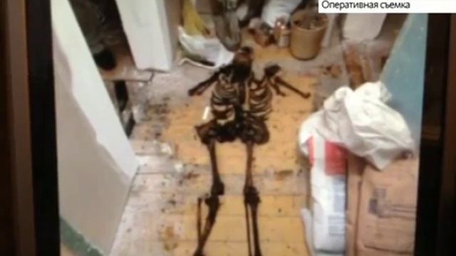 Под полом в барнаульской квартире нашли останки