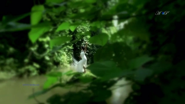 STIVE MORGAN - Life Source смотреть онлайн