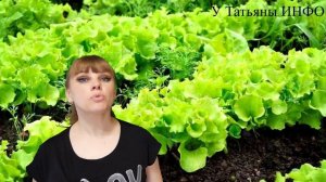 ПРАВИЛЬНОЕ соседство СВЕКЛЫ на грядках для ЛУЧШЕГО УРОЖАЯ!!!