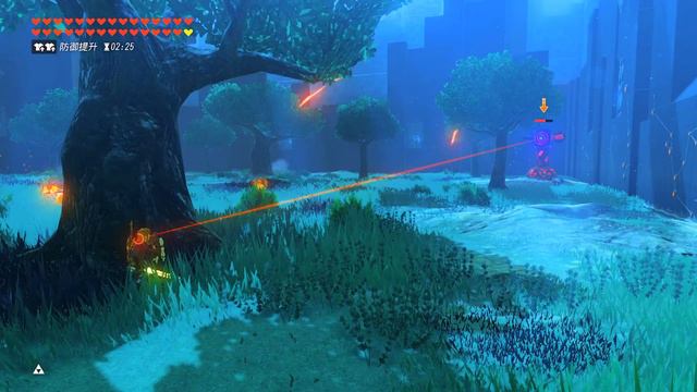 Botw: Relics of the Past - Sword Trials: Crazy Perfect Defense смотреть онлайн