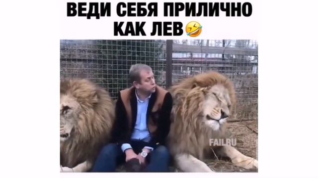 Веди себя прилично как лев! смотреть онлайн