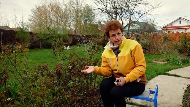 СРОЧНО сделайте это для роз смотреть онлайн