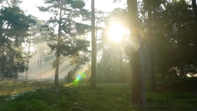 Сегодня обязательно сбрызните порог дома на достаток. смотреть онлайн