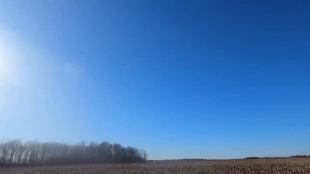 Охота на гуся в РБ 2023 смотреть онлайн