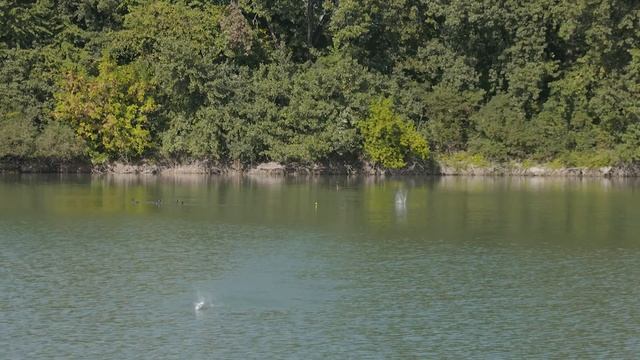 Korda Carp Fishing Masterclass Vol 3 - Long Range Fishing | Ali Hamidi