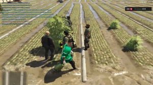 Ферма не легал и мусора на Majestic RP-2