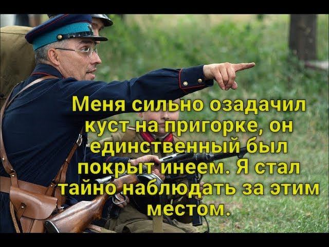 Меня сильно озадачил куст на пригорке, он единственный был покрыт инеем смотреть онлайн
