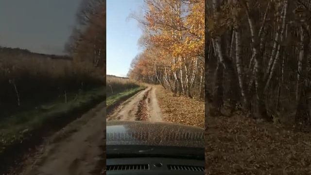 ЗОТИ т600 на бездорожье