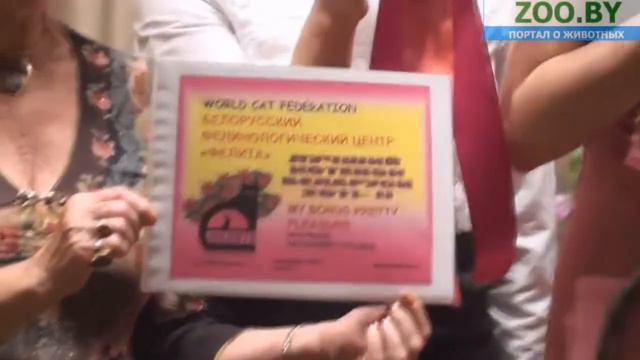Лучший котенок Беларуси 2011. 2 место смотреть онлайн