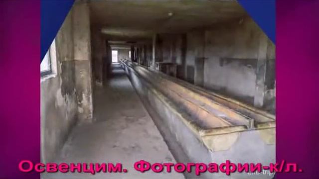 Освенцим фотографии № 22 смотреть онлайн