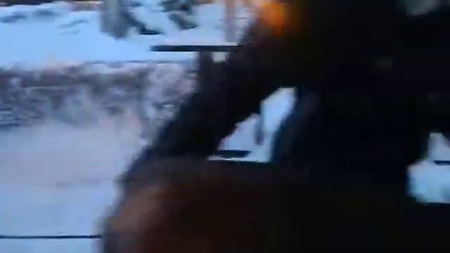 Олени в Москве - 8(965)380-13-11 смотреть онлайн