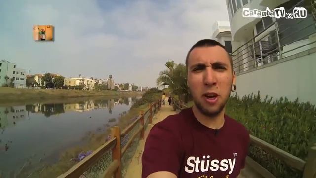 100500 Пальма и Негр смотреть онлайн