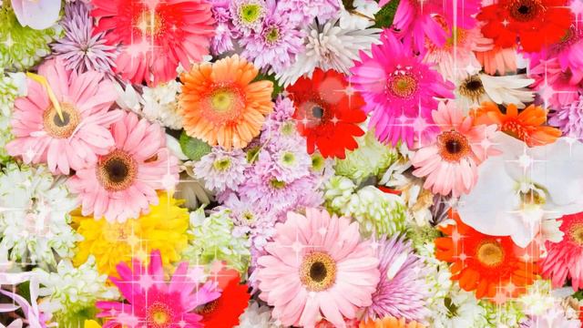 8 марта, цветы и бабочки/футажи-переходы/хромакей смотреть онлайн