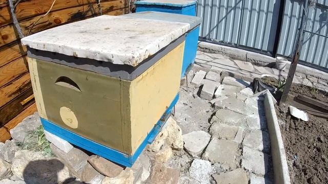 Сон на Улье с Пчелами Апидомик Лечение Пчёлами смотреть онлайн