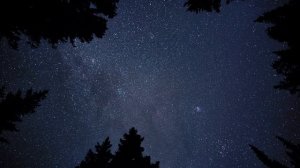 Звездное небо