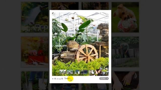 GardenCare - Gardening Services WordPress Theme смотреть онлайн