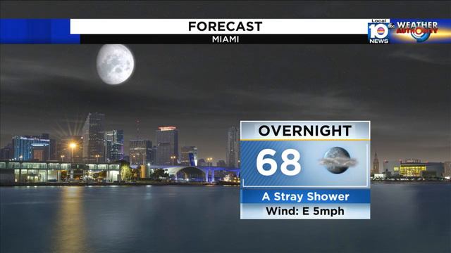 Local 10 Evening Weather Update: 1/24/21 смотреть онлайн