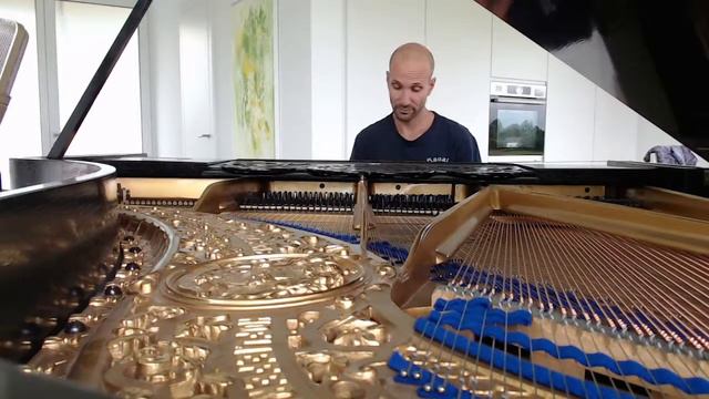 #47 of 10.000 Blüthner Grand Piano Pieces смотреть онлайн