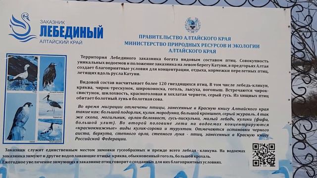 Озеро Лебединое, часть 2. Возвращение домой смотреть онлайн