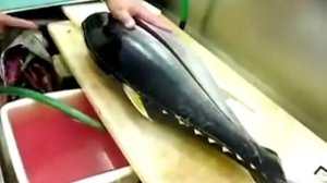 Разделка рыбы. Японская разделка тунца на сашими