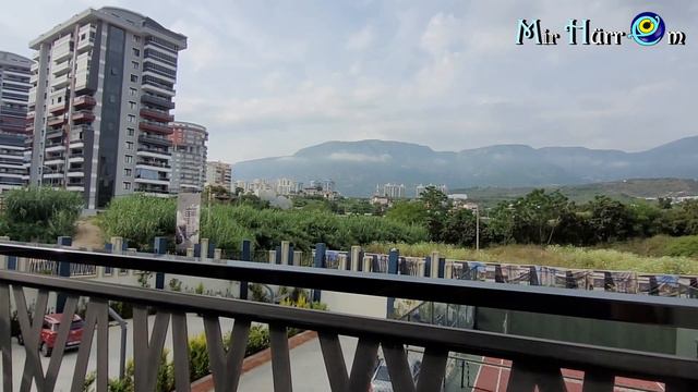 Завтрак на балконе с котами 😽😸 Я попала! 🍰🙊 По насиженным местам 😊 Махмутлар Турция смотреть онлайн