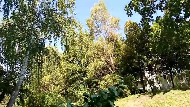 Ветер, ветер, ветерок! смотреть онлайн