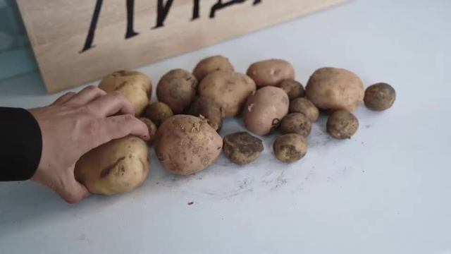 Что такое лид и как их сортировать смотреть онлайн