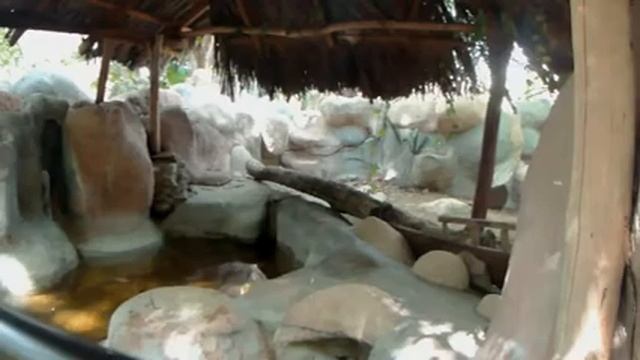 Мексика, Масунте, центр по спасению и разведению черепах. Часть 21-1 смотреть онлайн