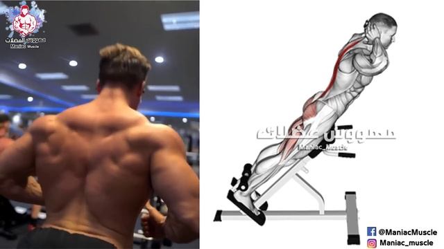 Full Exercise Back for GIT Wide Back | Best Back Workout смотреть онлайн