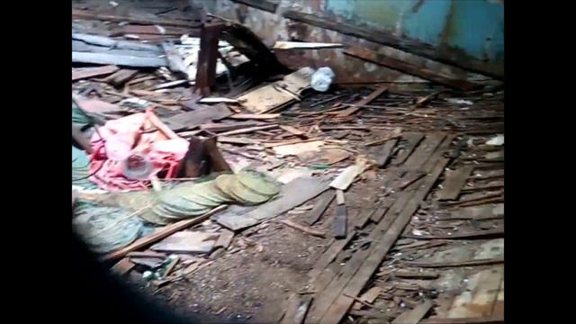 Бухта Витязь, Боевые дельфины и Чёрный пляж смотреть онлайн