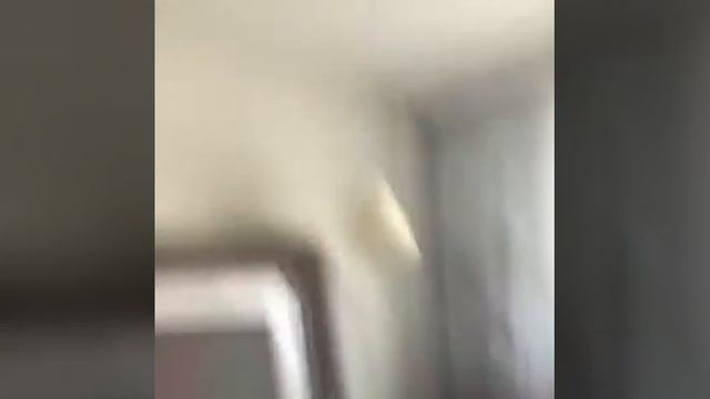 ГОЛУБАЯ НОРКА ВЕРНУЛАСЬ\ЭКСКЛЮЗИВ смотреть онлайн