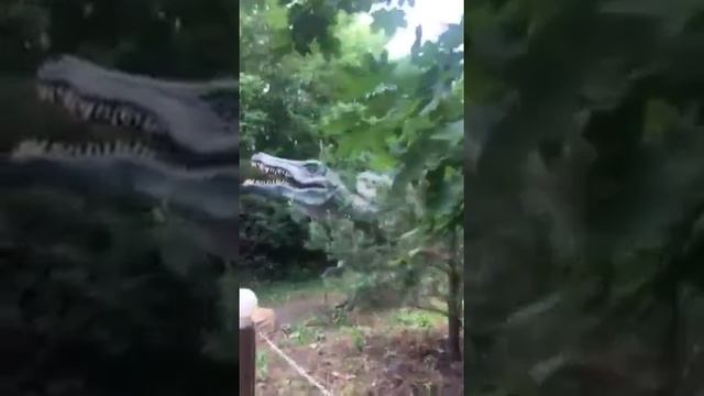 Парк Сказка. Крылатское смотреть онлайн