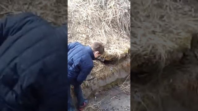 Как правильно мыть кроссовки смотреть онлайн