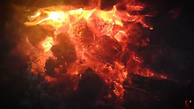 8686 | Пламя костра, горящий уголь смотреть онлайн