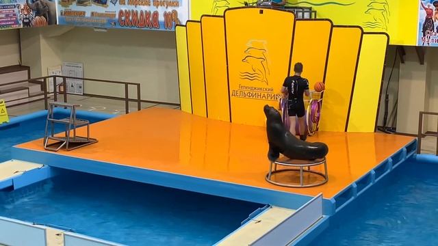 Купить Квартиру в Геленджике? Легко! Эксклюзивное предложение! смотреть онлайн