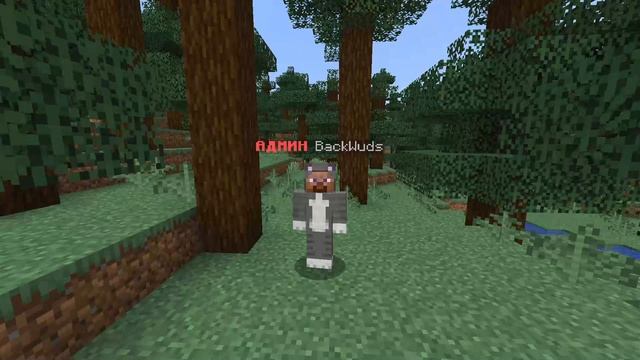 10 часов не двигаюсь в майнкрафте