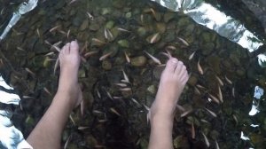 Санья,Дадунхай.отель "Южный Китай",обзор.08 декабря 2018 год