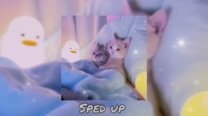 nkeeei ~ Малыш в красивом платье со мной на афтерпати (sped up)                    #music #музыка