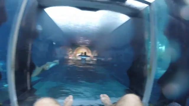 Aquaventure Dubai. The best waterpark in the UAE смотреть онлайн