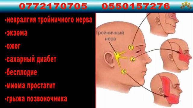 Приглашаем на работу энергичных и молодых девушек и парней 0772170705-0550157276 смотреть онлайн