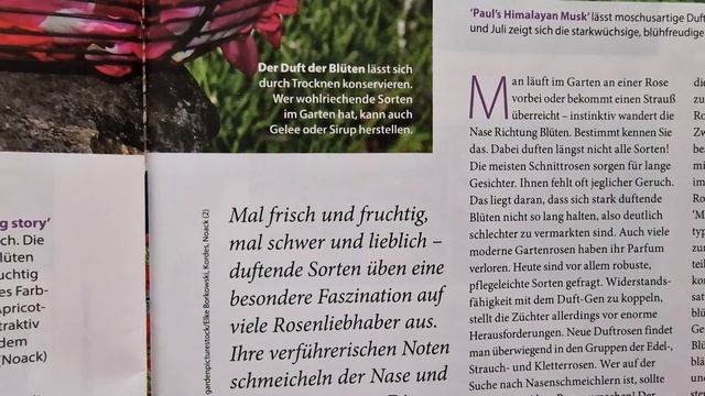 Журнал #Розы Парфюм розы,штамбы,покупка,посадка,ADR,болезни,обрезка,букеты, немецкие сады Часть2 смотреть онлайн