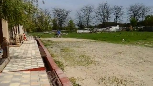 Дрифт Шахина и Шамиля смотреть онлайн