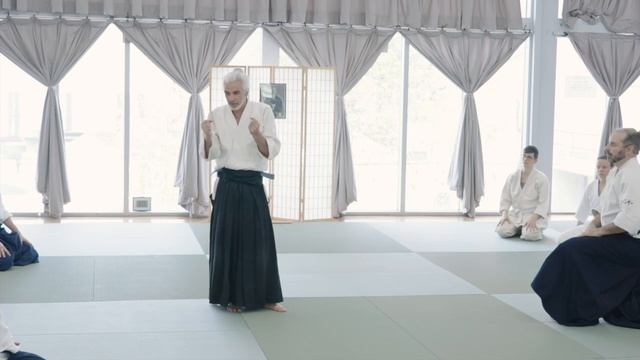 Bruno Gonzalez Aikido Masterclass At Wickwood Aikido