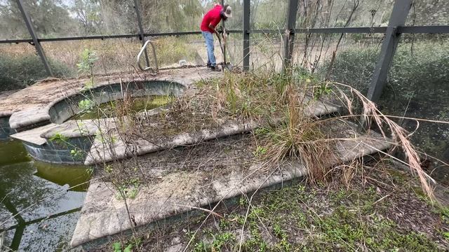 This MANSION has a BEAUTIFUL back patio HIDDEN under years of NEGLECT!!! смотреть онлайн