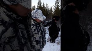 Охота с Барс 4-1   кал. 223 rem