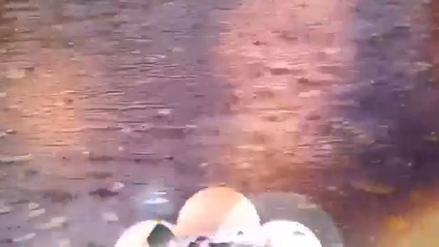 Скоро осень господа, скоро осень.... смотреть онлайн